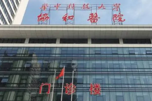 协和医院冷冻卵巢组织再生手术：深入解析手术风险与身体影响