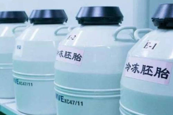 冷冻胚胎是否一定要养囊，什么情况冻胚可以养囊
