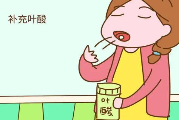 叶酸能预防胎儿神经管缺陷
