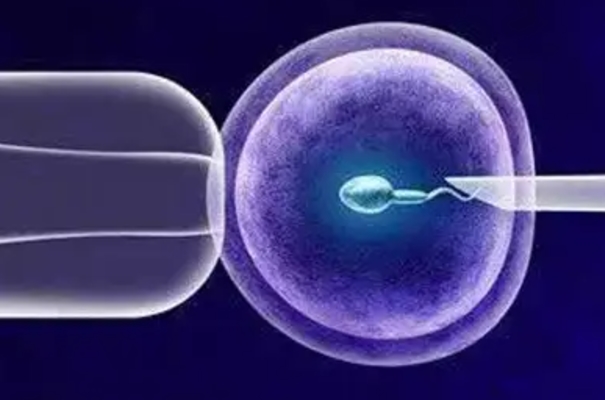 男性弱精精子活力低到什么程度需要做试管？