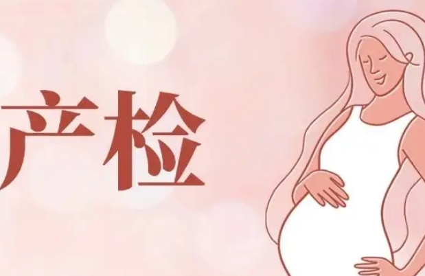 准妈妈每个月都需要检查