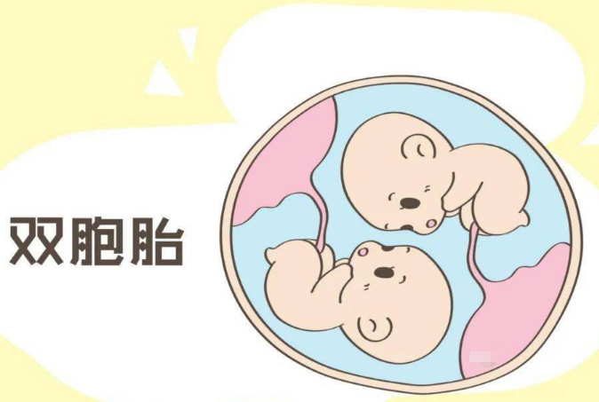 58岁高龄夫妇做试管婴儿生龙凤胎有成功的可能吗？