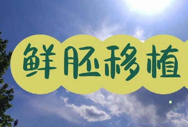 第一次做试管婴儿能够移植鲜胚的身体条件是不是最好的啊？