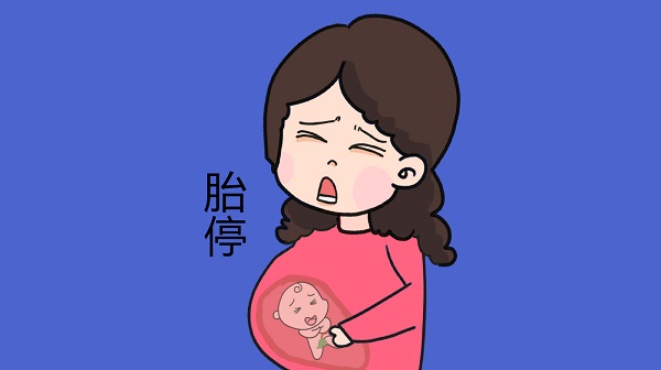 调整饮食可以预防胎停