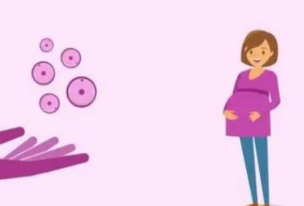高龄女性可以通过试管技术怀孕