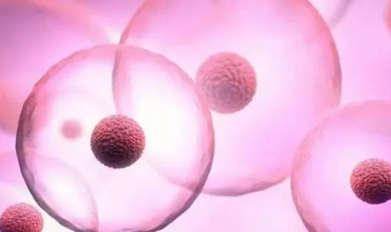 甘肃仅1家医院有精子库