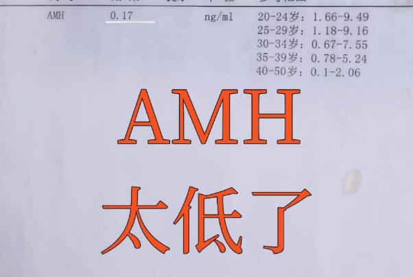 多次查看amh有助于临床决策