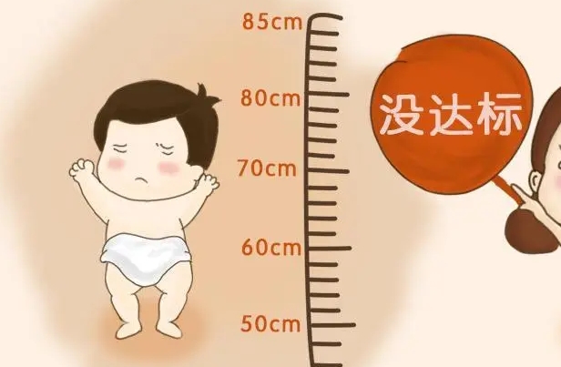 遗传因素会影响婴儿的身高体重