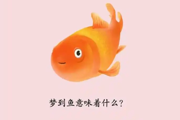 女人在备孕期间经常梦见鱼是网上说的胎梦吗？