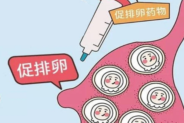 29岁促排获得9个卵泡是正常的
