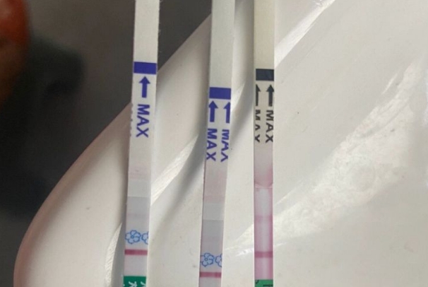 排卵第12天测不到是不是就没希望了，再等等可能有转机