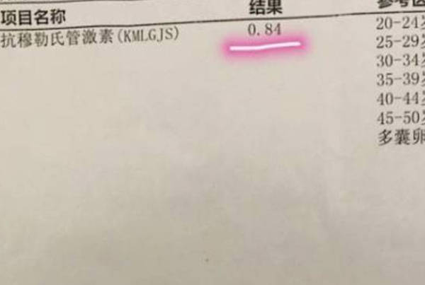40+高龄女性AMH值低于1：自然怀孕的可能性与生育策略探讨