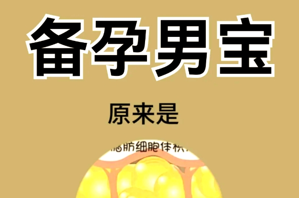 备孕想要个儿子怎么调理，饮食、运动等方面都要抓起来
