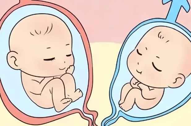 怎样委婉问医生胎儿是男是女会告诉我呢？