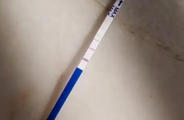 囊胚移植不到一个月试纸两条杠很明显怀的是男孩还是女孩呢？