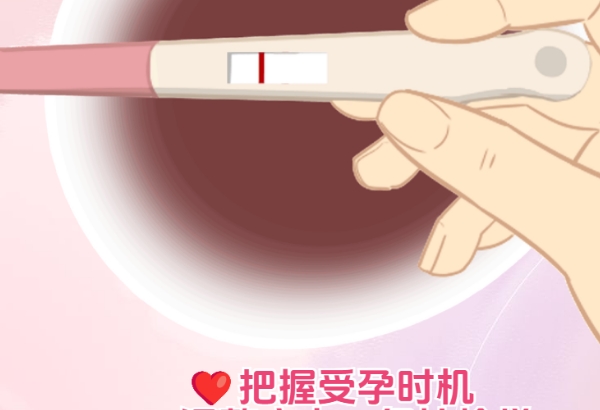 想要一个男宝宝怎么备孕，从原理到实操的建议