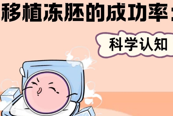 移植冻胚的成功率大揭秘，个性化方案是提高概率的方法之一
