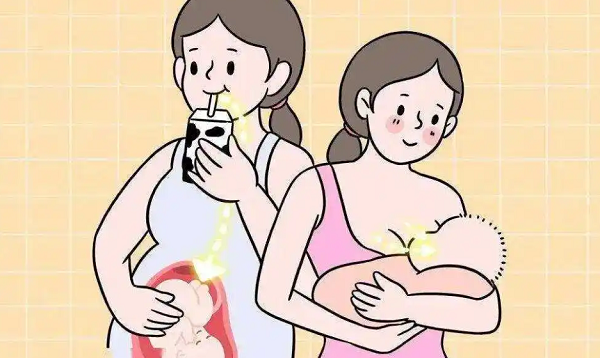 哺乳期打卡介苗会对胎儿造成影响