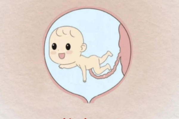 生男孩的备孕方法攻略，科学指南与真实数据解析