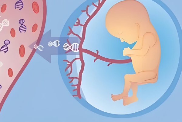 无创dna18三体数值达到多少可以明显看出怀的是男宝？