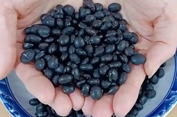 女性坚持吃黑豆一年头发变多了正常吗？