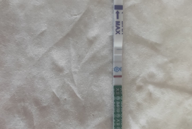 移植第九天白板哭了两天又好孕了这是有可能的吗？