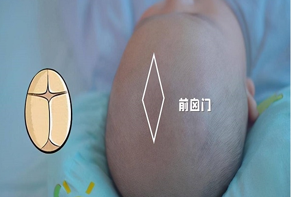 遗传因素会影响新生儿前囟门的大小