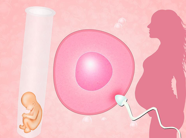[女女生育真的实现了吗，女女怎么生试管宝宝]