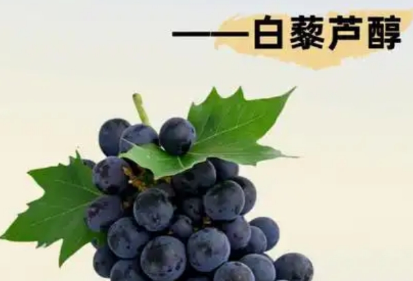 每天补充白藜芦醇对女人备孕有好处吗？