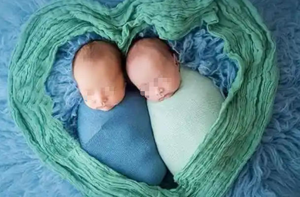 移植多个胚胎能提高怀双胎的几率