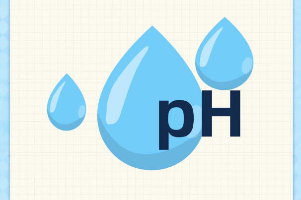 良好的身体条件会提高受孕率