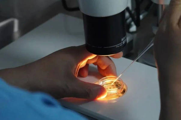 禁欲两天取出的精子质量不好