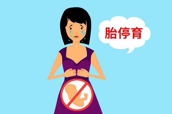 试管婴儿怀孕11周胎停了还能提高孕酮补救吗?