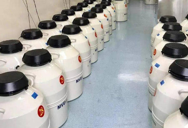 一文了解冷冻胚胎技术，现代生殖医学的希望与挑战