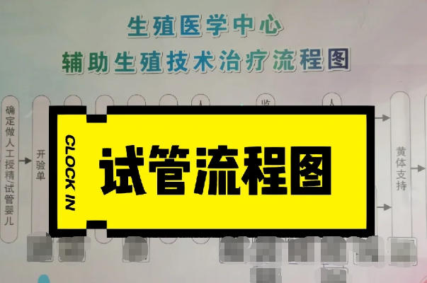 试管婴儿检查通常先初步评估