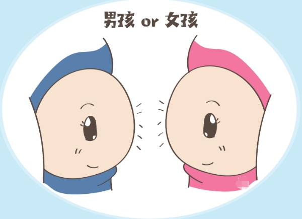 根据怀孕日期推算胎儿是儿是女的方法准确率高吗？