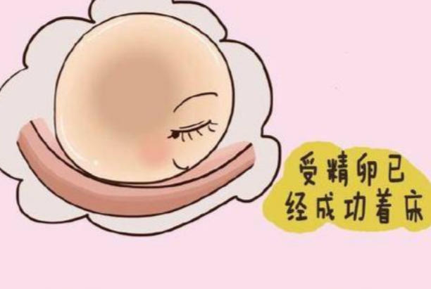 胚胎质量会影响着床成功率