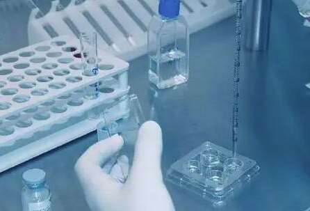 上海单身女性做人工授精试管婴儿 (IVF-D)费用