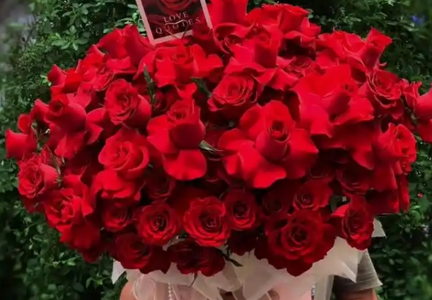 怀孕初期孕妇梦到一束玫瑰花怀的一般是男娃还是女娃呢?