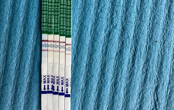 做3代试管冻囊胚移植后最快几天着床呢？