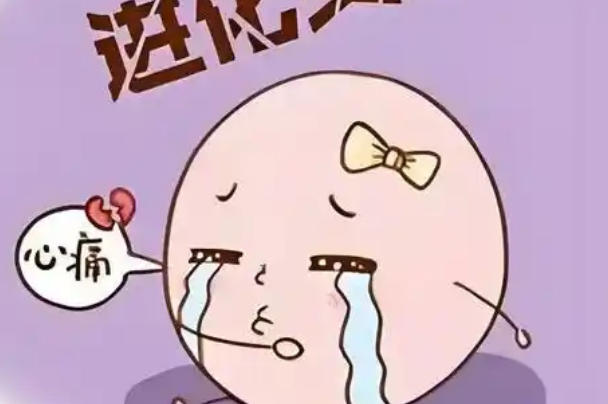 胚胎质量会影响着床情况