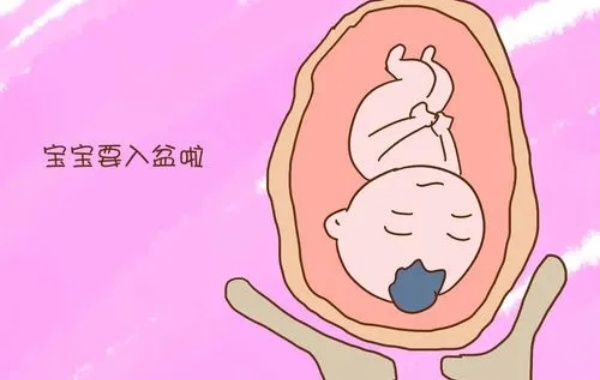全入盆和半入盆图片对比，胎动有明显不同