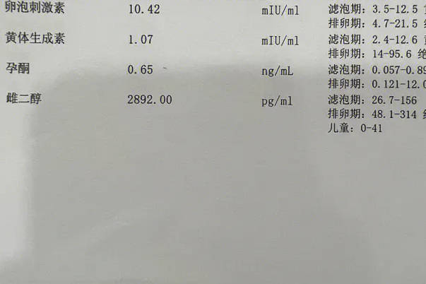 促排第8天孕酮的检查结果