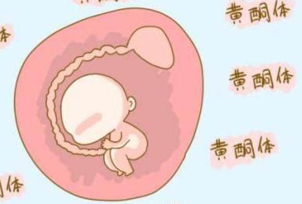 孕酮水平低也可以促排