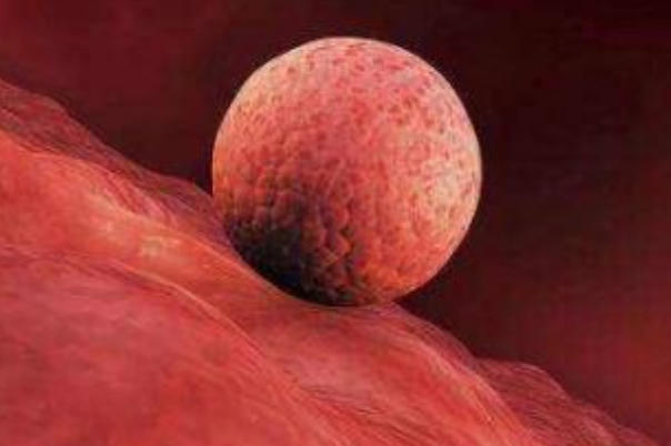 试管移植后肚子疼偶尔拉肚子对胚胎着床有影响吗？