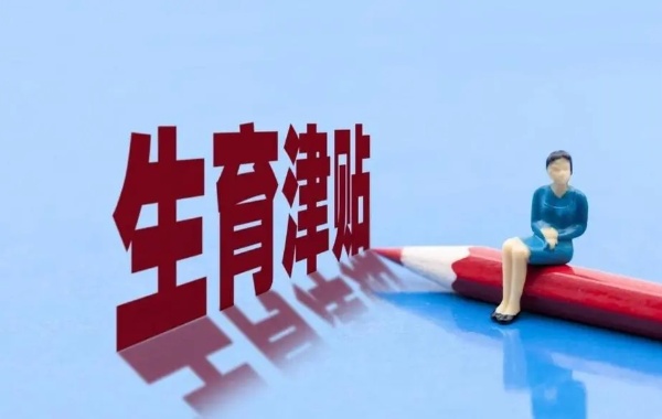 在上海无业的孕妇怎么才能快速领生育补贴呢？
