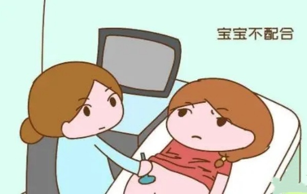 可以比较直观的看清楚胎儿发育情况