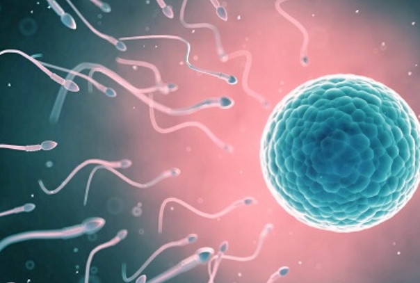 男人精子活力低只有二级能做二代试管吗？