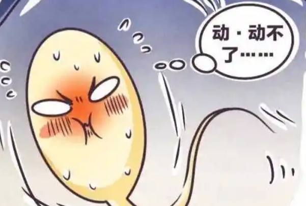 不好的环境可能会导致精子死亡