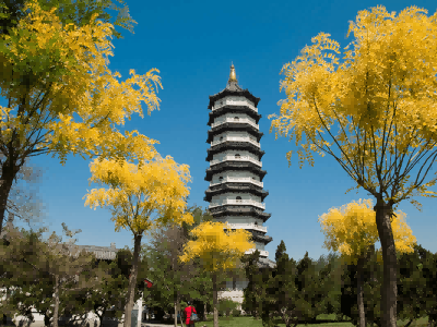 北宁试管婴儿